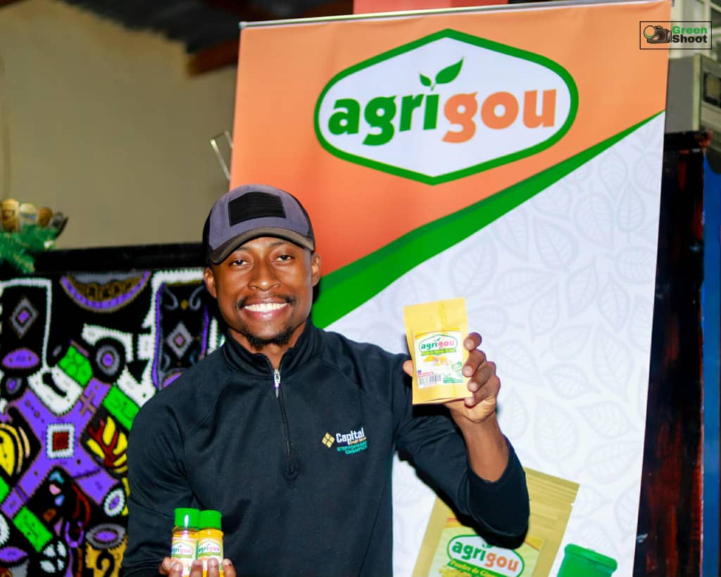 Agrigou : une nouvelle entreprise à Jacmel pour la transformation de plantes condimentaires et aromatiques